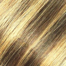 Eve Indian Remy Weft #F4/27